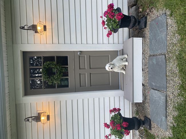 Image of 68 Philip St