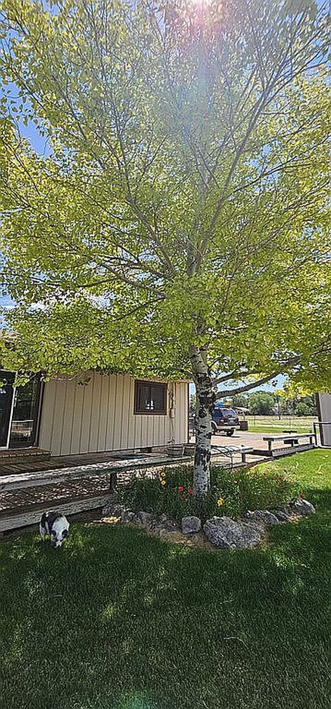 Photo of 1270 Road 5, Powell, WY