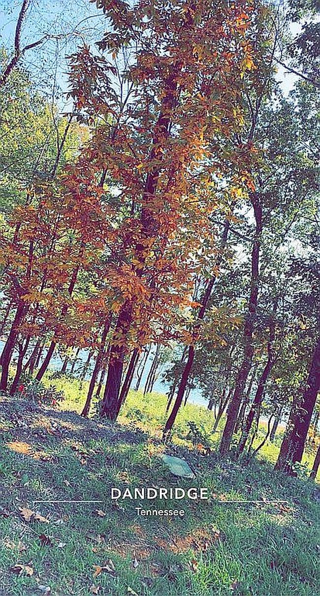 Photo of 2127 Majestic Cir Lot 98, Dandridge, TN