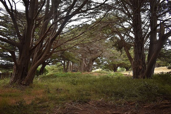 Photo of 10851 Ford St, Mendocino, CA