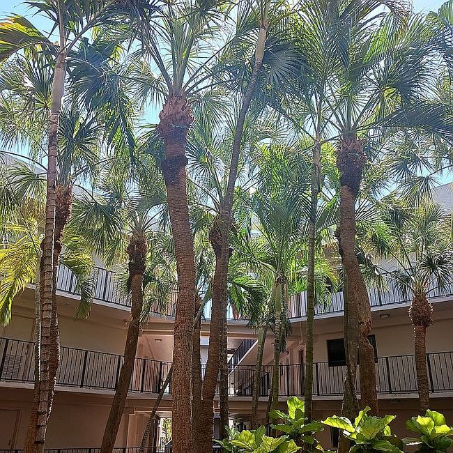 Image of 8650 West Plz #S