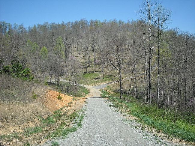 Image of 588 Long Beard Ln