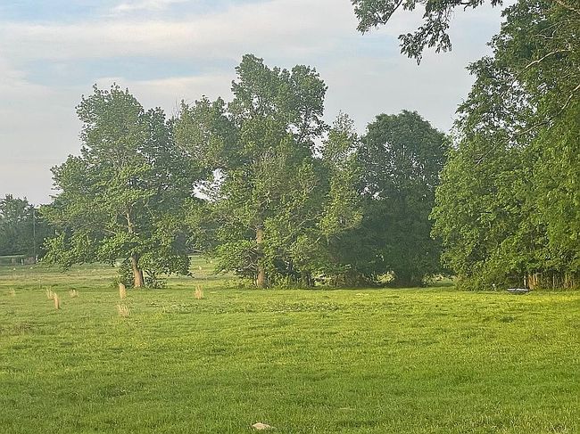 Image of 0 County Road 2403
