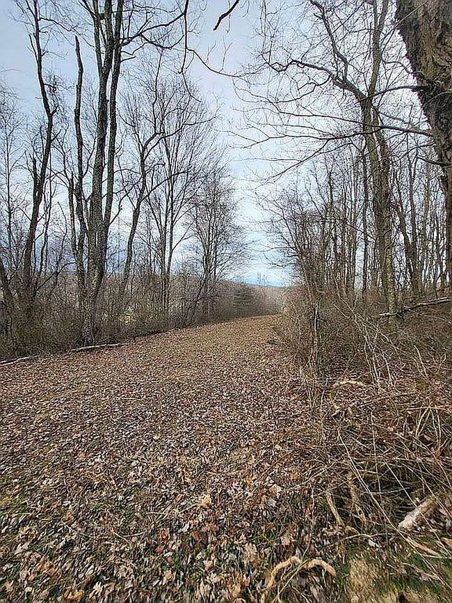 Image of 0 Saddletree Ave Lot Ww