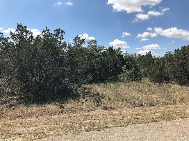 Photo of 2311 Angelina St, Granbury, TX