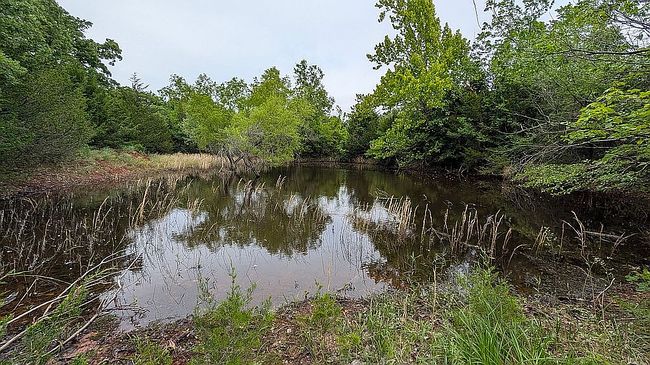 Photo of 11024 Tammy Ter, Newalla, OK