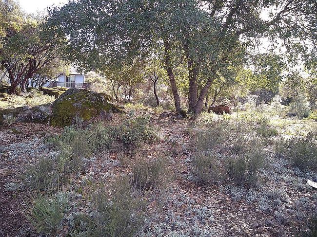 Photo of 9719 Tenaya Way, Kelseyville, CA