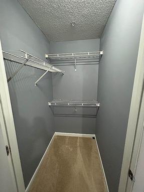 Preview of property located at 1230 University Ct