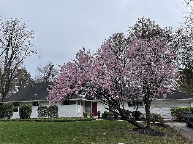 Preview of property located at 3517 Autumn Dr