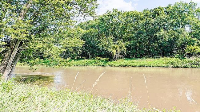 Photo of 6847 N Flansburg Rd, Lena, IL