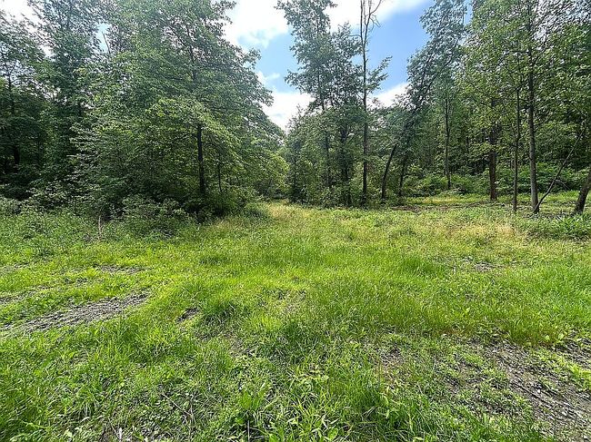 Photo of 653 Tannery Hollow Rd, Blairsville, PA