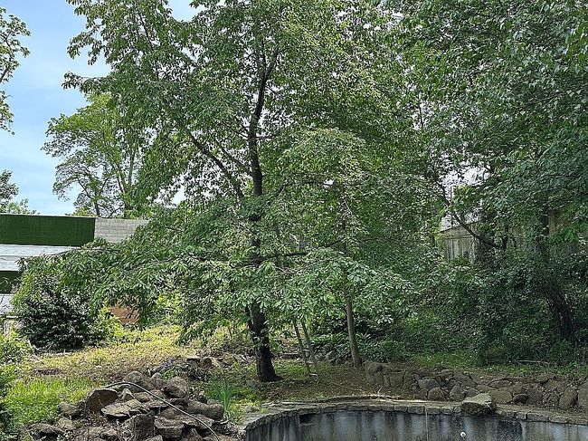 Photo of 8671 Marengo St, Jamaica, NY