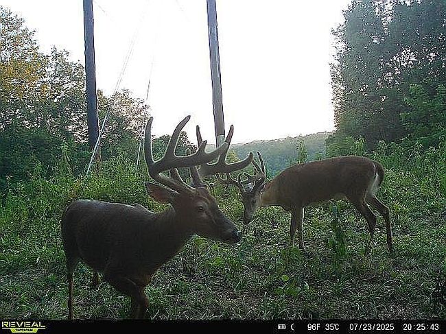 Photo of 32290 Bailey Run Rd