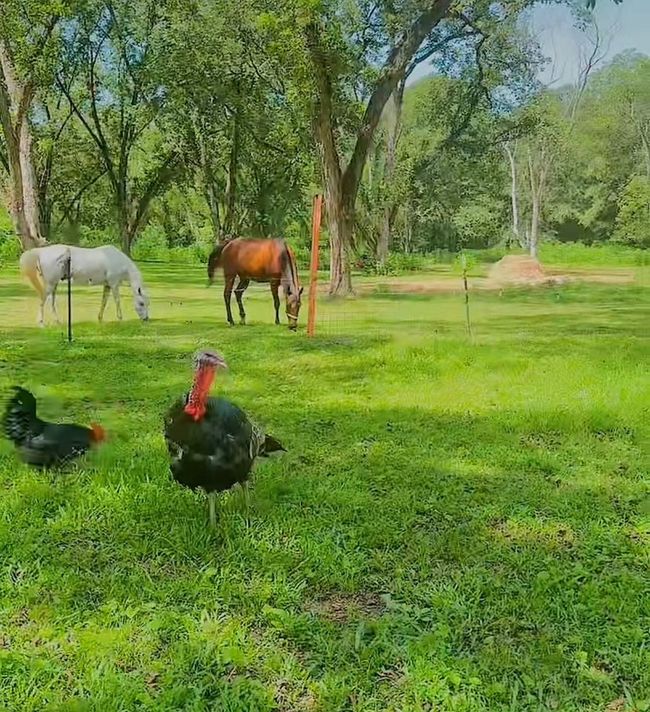 408 Lawrence Dr, Macon, GA