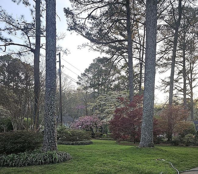 Image of 2915 Sope Creek Dr