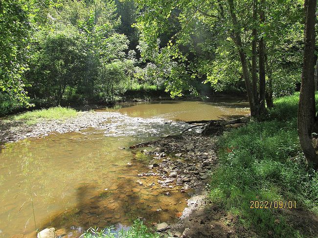 Image of 2992 Dungeon Rd