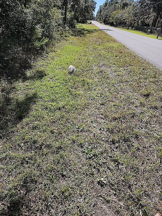 Photo of 2733 S Bolton Ave, Homosassa, FL
