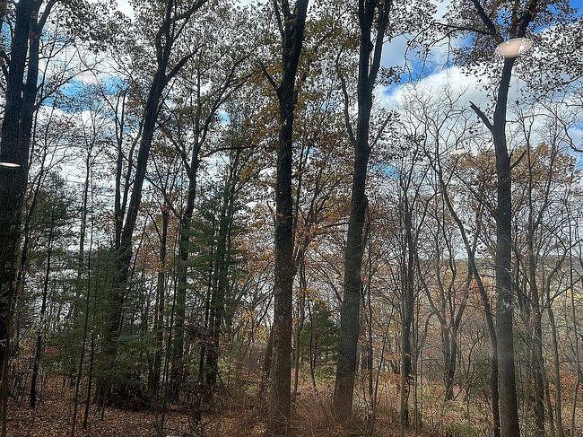 Image of 36 Maplewood Ln