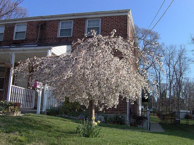 1666 Mussula Rd, Baltimore, MD