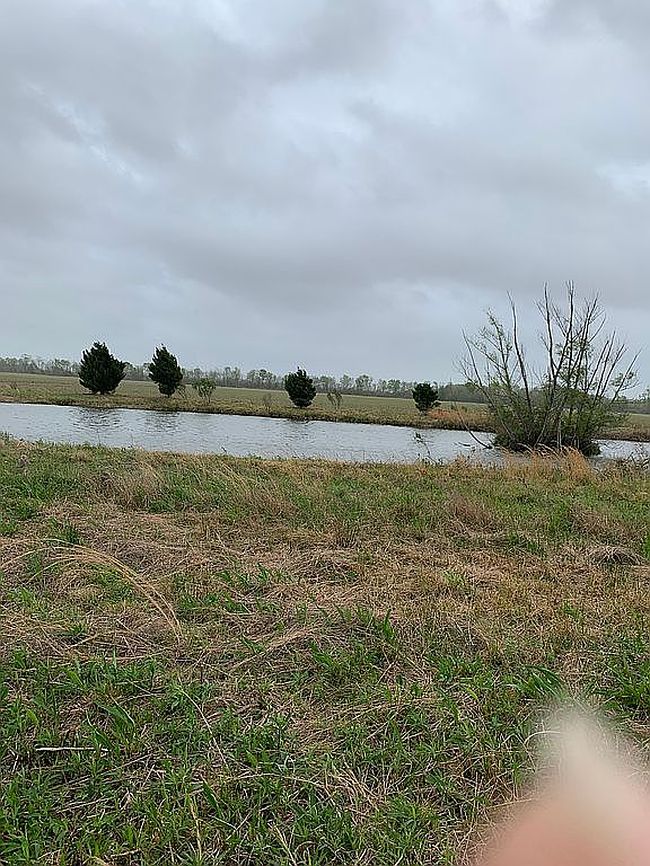 Photo of 3937 Perkins Rd, Youngsville, LA