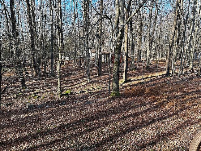 Image of 142 View Dr