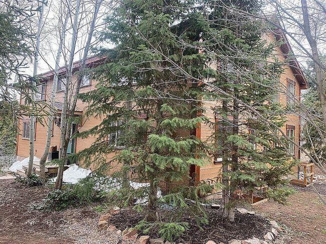 Image of 1234 W Pinebrook Blvd