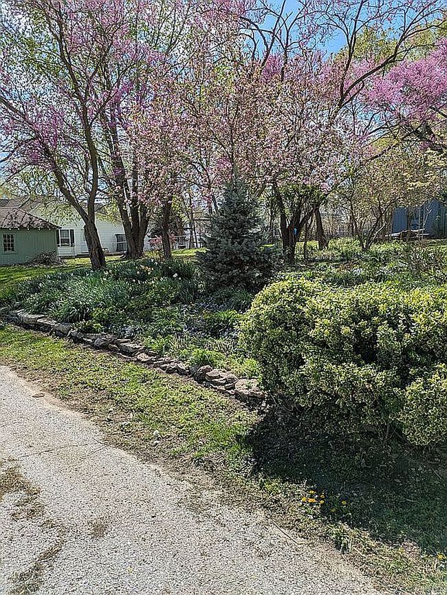 Photo of 511 E Mulberry St, California, MO