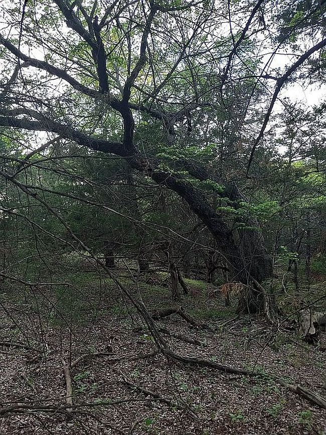 Additional photo 3 of property located at 13020 N Air Depot