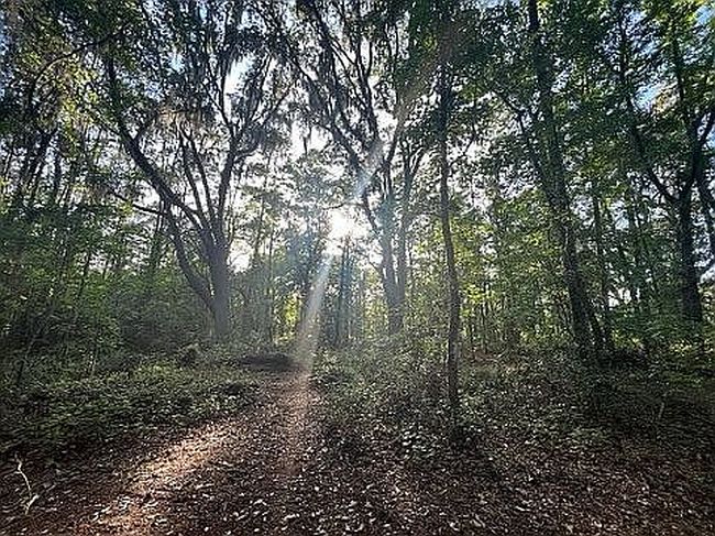 0 County Road 209 S, Green Cove Springs, FL