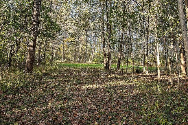 Additional photo 2 of property located at 0 E Mckenna Rd