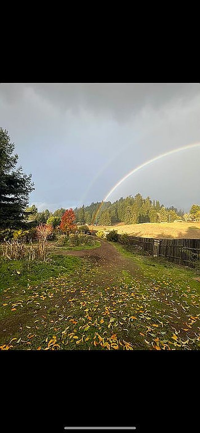 Photo of 8475 Flynn Creek Rd