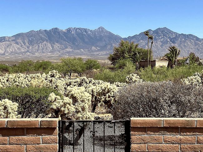 Image of 3631 S Via De La Ciguena