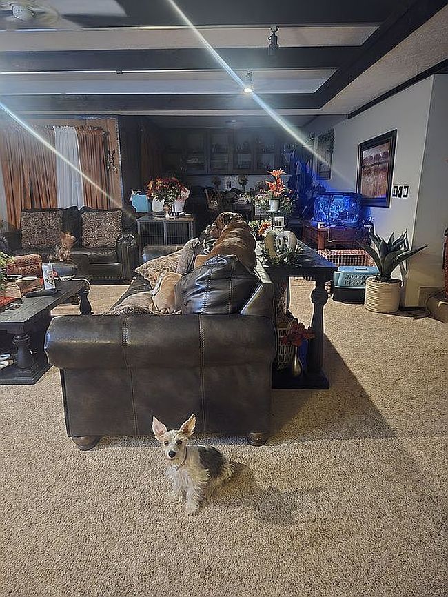 Image of 1002 Nottingham Cir