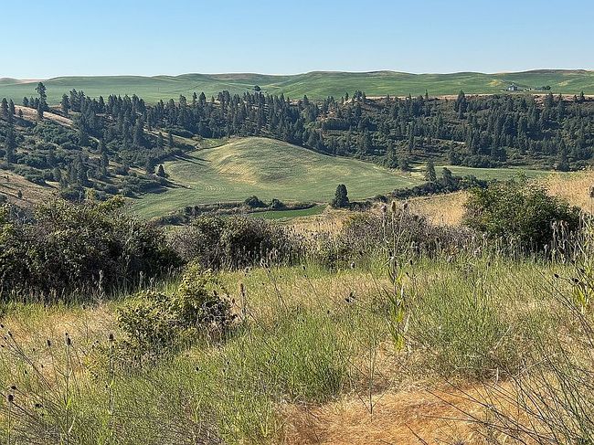 Photo of Lot 4 Red Tail Ridge Rd, Colfax, WA