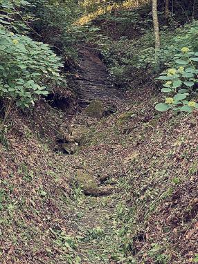 Image of 165 Service Rd