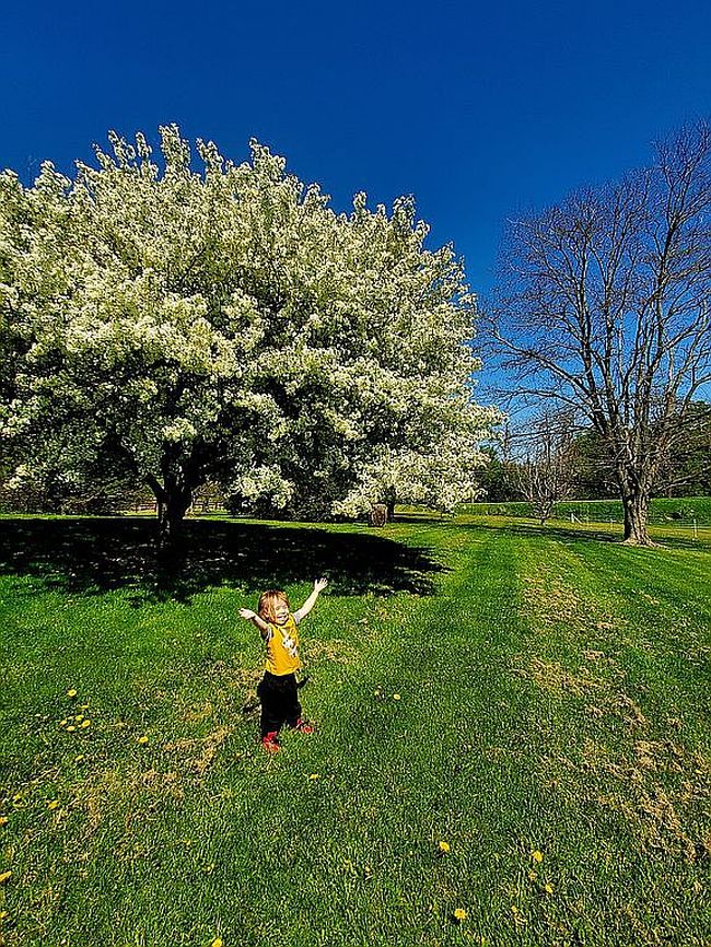 Photo of 181 Creamery Rd, Oswego, NY