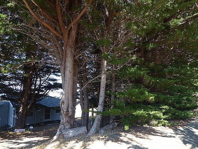 Photo of 1520 Navarro Bluff Rd, Albion, CA