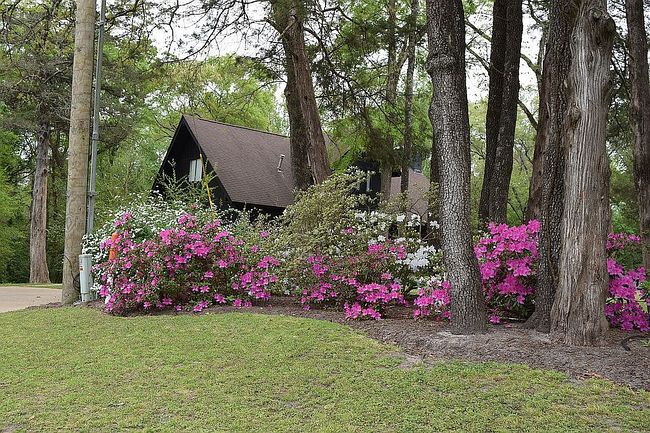 Photo of 2725 N Jefferson Ave, Mount Pleasant, TX