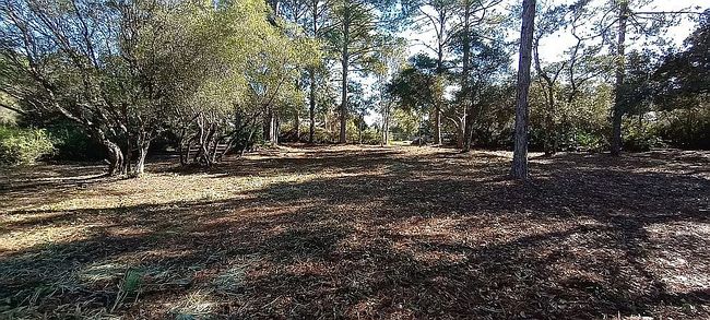 Image of 115 Herndon Rd