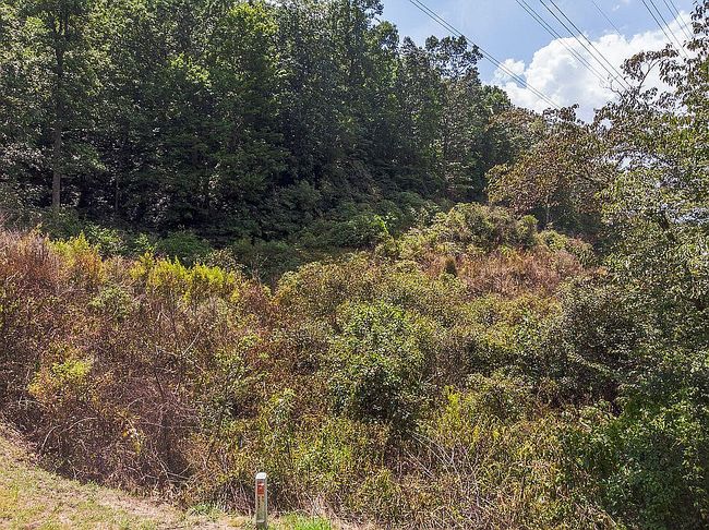 Image of 200 Thornwood Rd