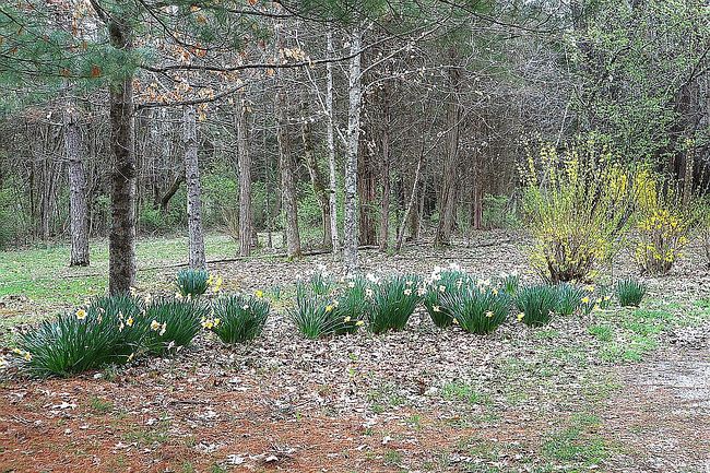 Image of 194 Mark Tilger Rd