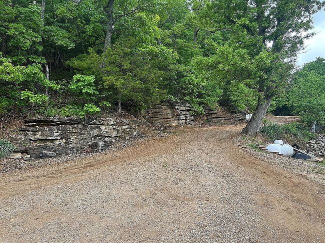 Photo of 289 Rubys Rst, Reeds Spring, MO