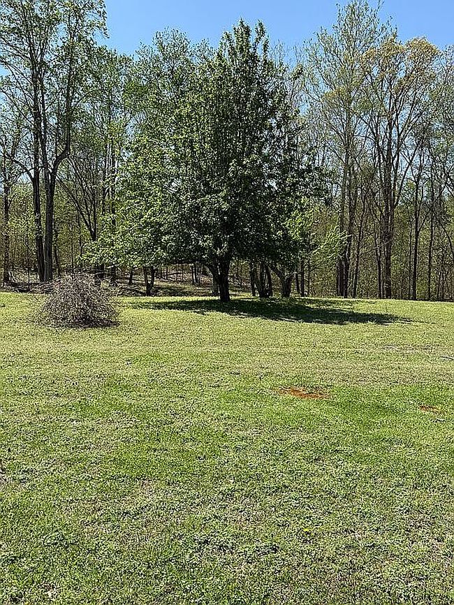 Image of 561 Watson Rd