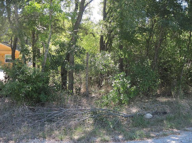 Photo of 1119 Boot Trail Ct
