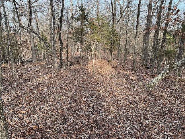 Image of 8119 Beaver Shores Rd