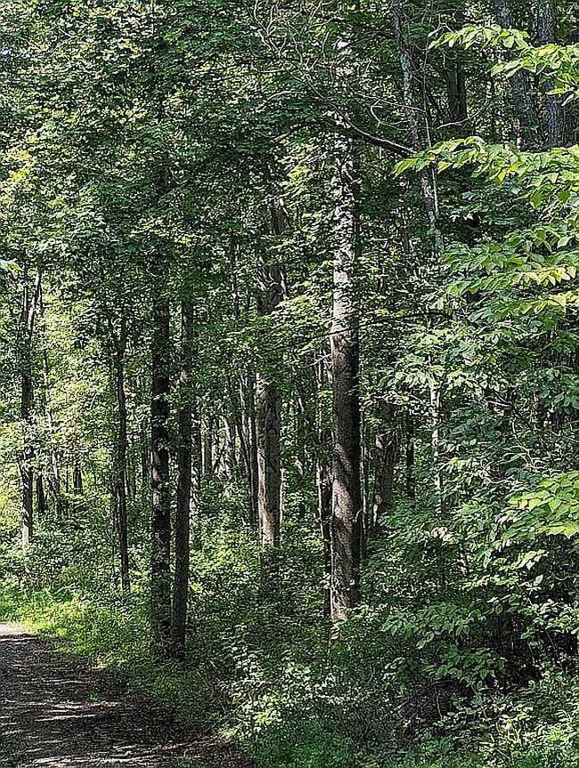 Image of 100 Breeding Hill Rd