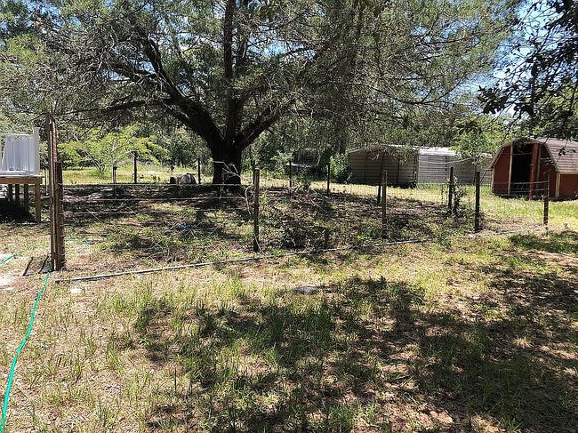 Photo of 16401 Tiger Trl, Spring Hill, FL