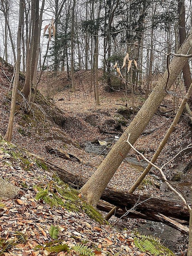 Image of 8498 E Lake Rd