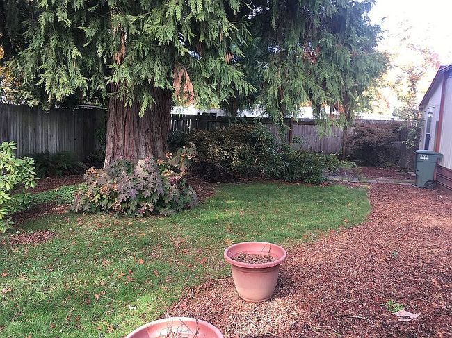 Photo of 1125 58th St Space 29, Springfield, OR