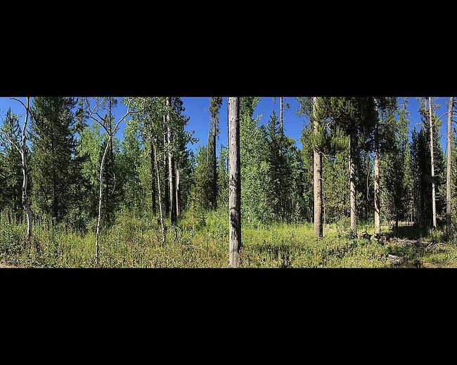 Photo of 3499 S Pinehaven Dr, Island Park, ID